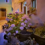 Casa Degli Ulivi