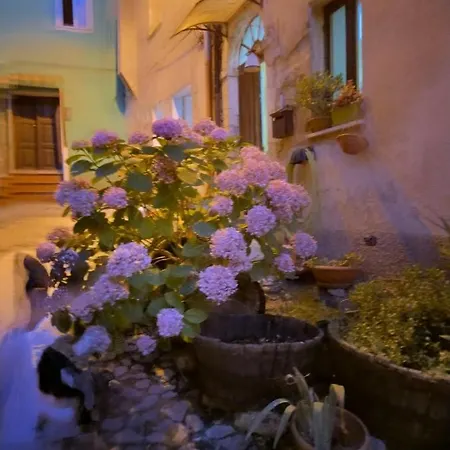 Casa Degli Ulivi